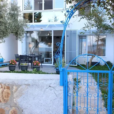 Karya Is 50 Meters From The *