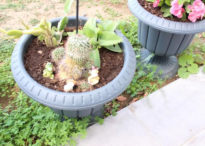 Karya Is 50 Meters From The 公寓 *