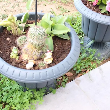 Karya Is 50 Meters From The Διαμέρισμα *