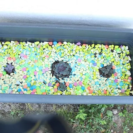 Karya Is 50 Meters From The * Αλικαρνασσός