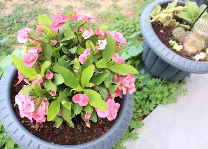 Apartment Karya Is 50 Meters From The Bodrum