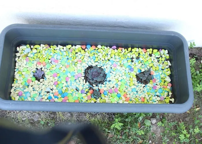 Karya Is 50 Meters From The * ボドルム