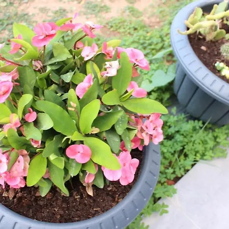 Apartment Karya Is 50 Meters From The Bodrum